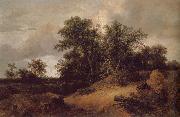 Jacob van Ruisdael Dune Landfscape Spain oil painting artist